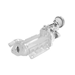 82 00 968 414 EGR valve exhaust gases rad - Top1autovaruosad