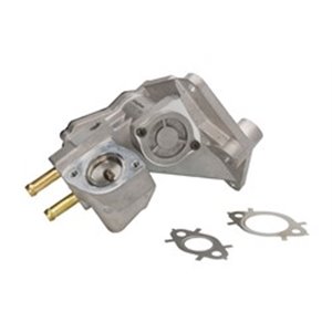 710937D/1 EGR Valve BorgWarner (Wahler) - Top1autovaruosad