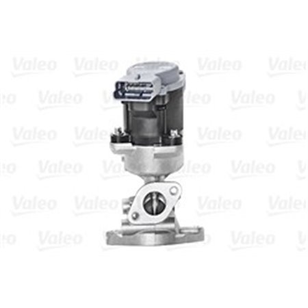 700423 EGR Valve VALEO