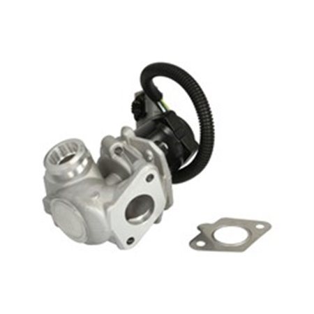 710936D/1 EGR Valve BorgWarner (Wahler)