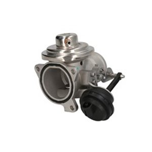EGP0-N091           95823 EGR valve fits  - Top1autovaruosad