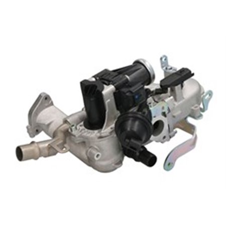 710944D/1 EGR-ventil BorgWarner (Wahler)