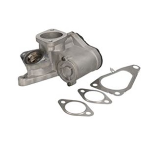 710938D/1 EGR-ventil BorgWarner (Wahler) - Top1autovaruosad