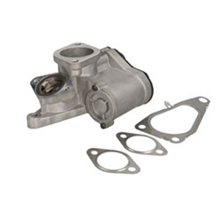 710938D/1 EGR-ventil BorgWarner (Wahler)