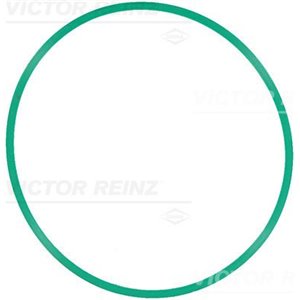 71-12508-00 Прокладка впускного коллектора REINZ 