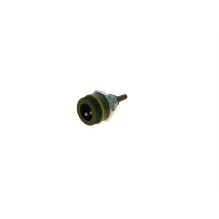 0 281 002 046 Sensor, intake air temperature BOSCH