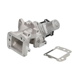 710975D/1 EGR-klapp BorgWarner (Wahler) - Top1autovaruosad