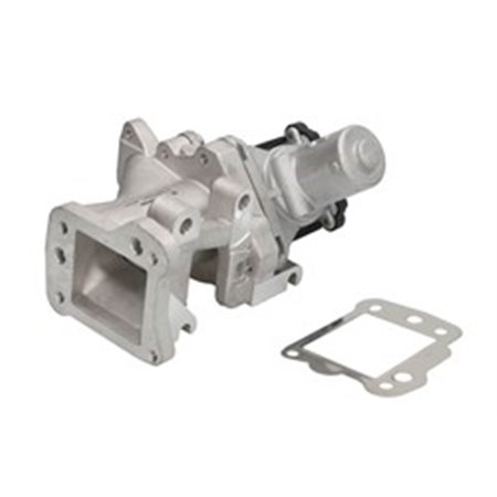 710975D/1 EGR Valve BorgWarner (Wahler)