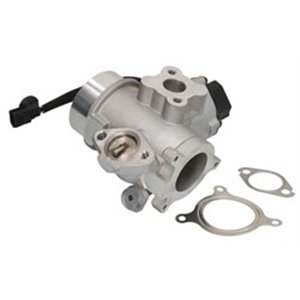 710982D/1 EGR-klapp BorgWarner (Wahler) - Top1autovaruosad