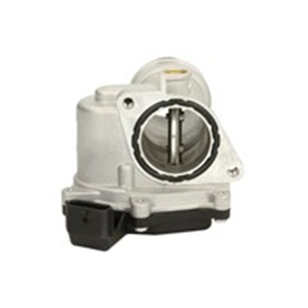 89396 Throttle Body MEAT & DORIA