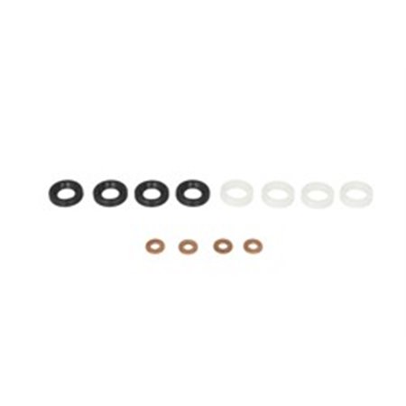 ENT250254 CR injector fitting kit 1.6 HDI (BOSCH) fits: VOLVO C30, S40 II, 