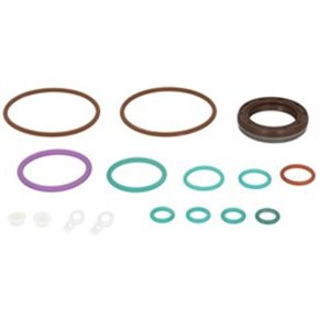 ENT210017 CP4 S 1 pump oil seal kit BOSCH (with seal, fits: 0 445 010 506; 