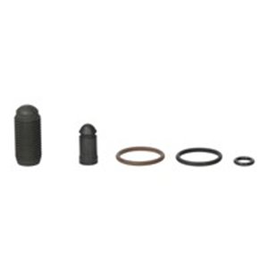 EL690170 Pump injector repair kit (with bolt) fits: AUDI A3, A4 B7; SEAT A