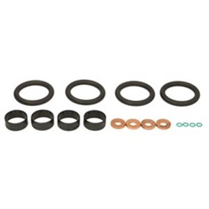 ENT250403 CR injector seals set SIEMENS; VDO fits: FORD; PSA 1.4 HDI price 