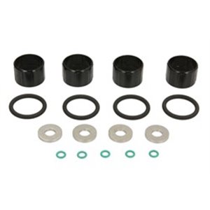ENT250503 CR injector fitting kit DELPHI fits: PSA 2.0 HDI/DW10 (with body 
