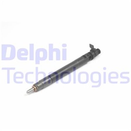 R00101DP Injector DELPHI
