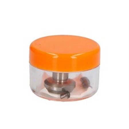 ENT250381 CR injector valve } ( SIEMENS)