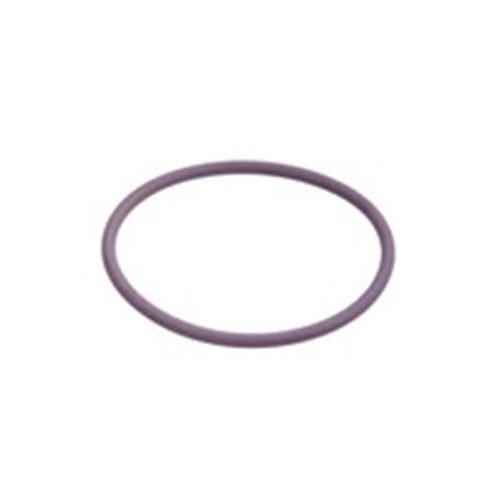 DEL7200-0070 DELPHI Уплотнительное кольцо 