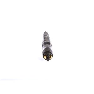 0 445 120 340 Electromagnetic CR injector fits: MASSEY FERGUSON 5000, 6000 1006