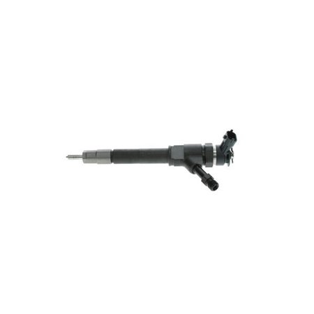 0 445 110 250 Injector Nozzle BOSCH