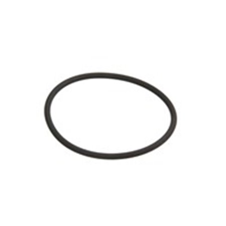 DEL7200-0027 DELPHI Уплотнительное кольцо 