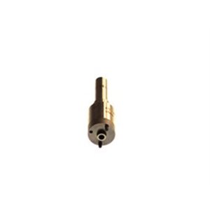 2 437 010 139 Injector tip (nozzle) fits: AUDI A4 B6, A4 B7, A6 C5; SKODA SUPER