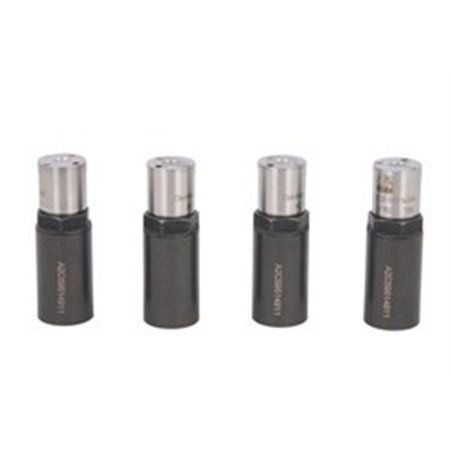 A2C59514911 CR injector nozzle (price for 4 pcs Siemens   VDO) (injection sy