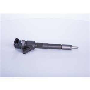0 445 110 351 Injector Nozzle BOSCH - Top1autovaruosad
