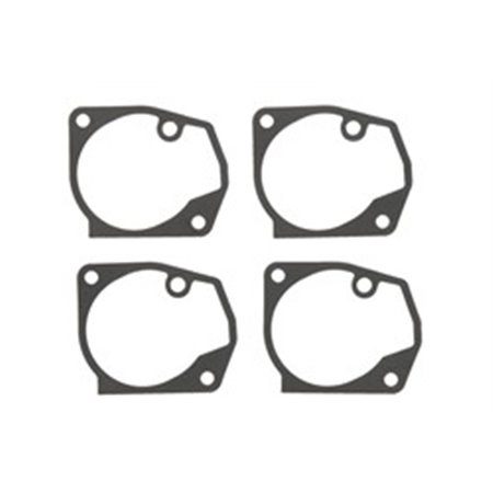 FBG-241 Float chamber gasket (quantity per packaging: 4pcs)