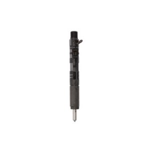 DEL28232248 Electromagnetic CR injector fits: NISSAN ALMERA II; RENAULT CLIO 