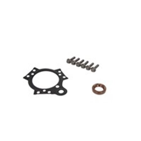 A2C59512213 Cover gasket set (injection system Lion V6)