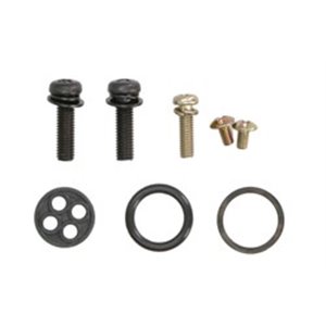 AB60-1034 Fuel tap repair kit fits  ARCTI - Top1autovaruosad