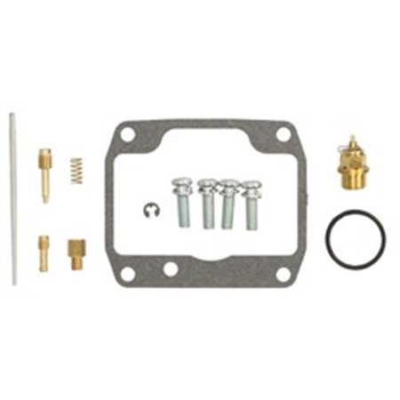 AB26-10079 Carburettor repair kit for number of carburettors 1 (for sports 