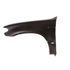 BLIC 6504-04-0095313P - Front fender L (with indicator hole) fits: BMW X5 E53 12.03-12.06