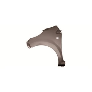 6504-04-0501311P Front fender L  with ind - Top1autovaruosad