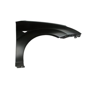 6504-04-2532314P Front fender R (with indicator hole) fits: FORD FOCUS 10.98 11.04