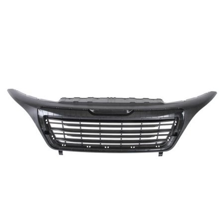 6502-07-2098992P Radiator Grille BLIC