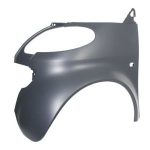 6504-04-3502311P Front fender L  with ind - Top1autovaruosad