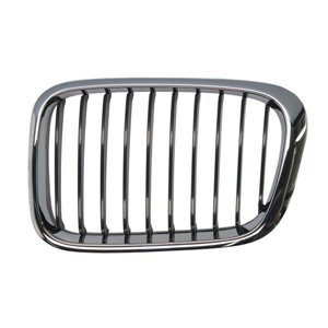 6502-07-0061993P Radiator Grille BLIC - Top1autovaruosad