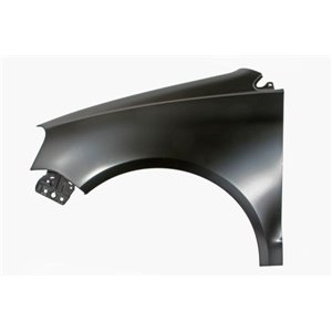6504-04-9506313P Front fender L fits: VW POLO IV 9N3 04.05 11.09