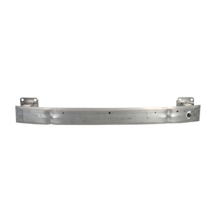 5502-00-5519942P Support, bumper BLIC