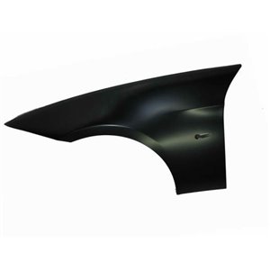 6504-04-0062311P Front fender L  with ind - Top1autovaruosad