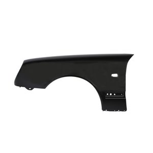 6504-04-3527313P Front fender L  with ind - Top1autovaruosad