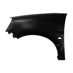 6504-04-0551315P Front fender L (with indicator hole, with rail holes) fits: CITRO