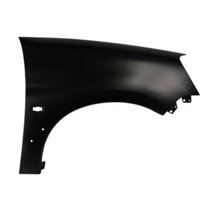 6504-04-0551316P Front fender R (with indicator hole, with rail holes) fits: CITRO