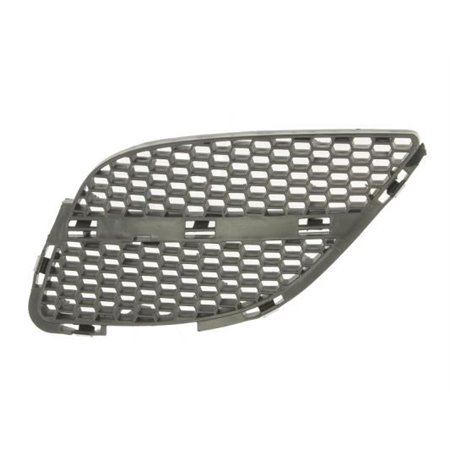 5513-00-1632913P Radiator Grille BLIC