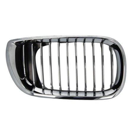 6502-07-0061992PP Radiator Grille BLIC