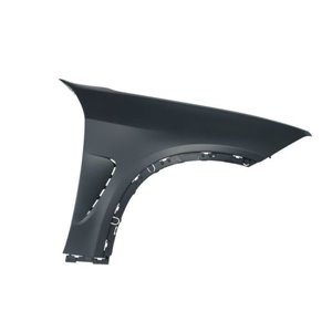 6504-04-0096320P Front fender R (with rail holes, plastic) fits: BMW X5 F15, F85 0
