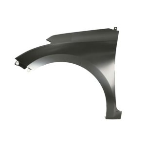 6504-04-3130311P Front fender L (steel) fits: HYUNDAI i20 11.14 