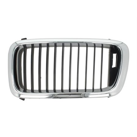 6502-07-0075991P Radiator Grille BLIC